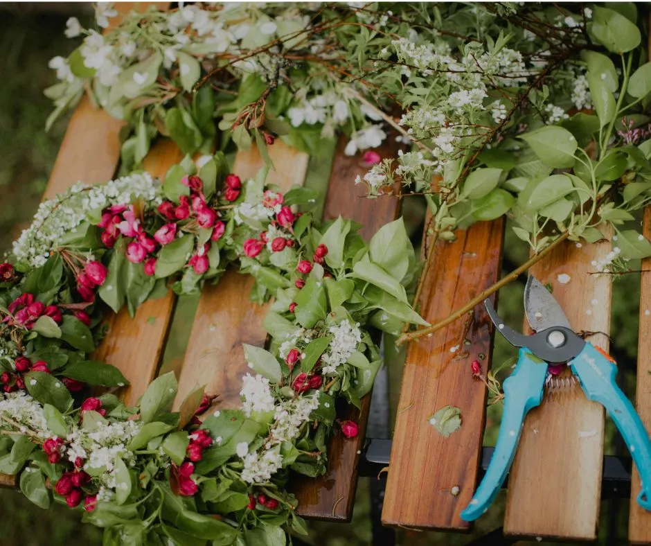 summer solstice wycombe