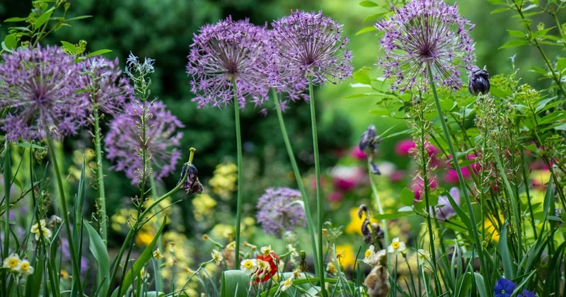 chelsea garden workshop