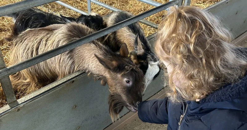 odds farm park