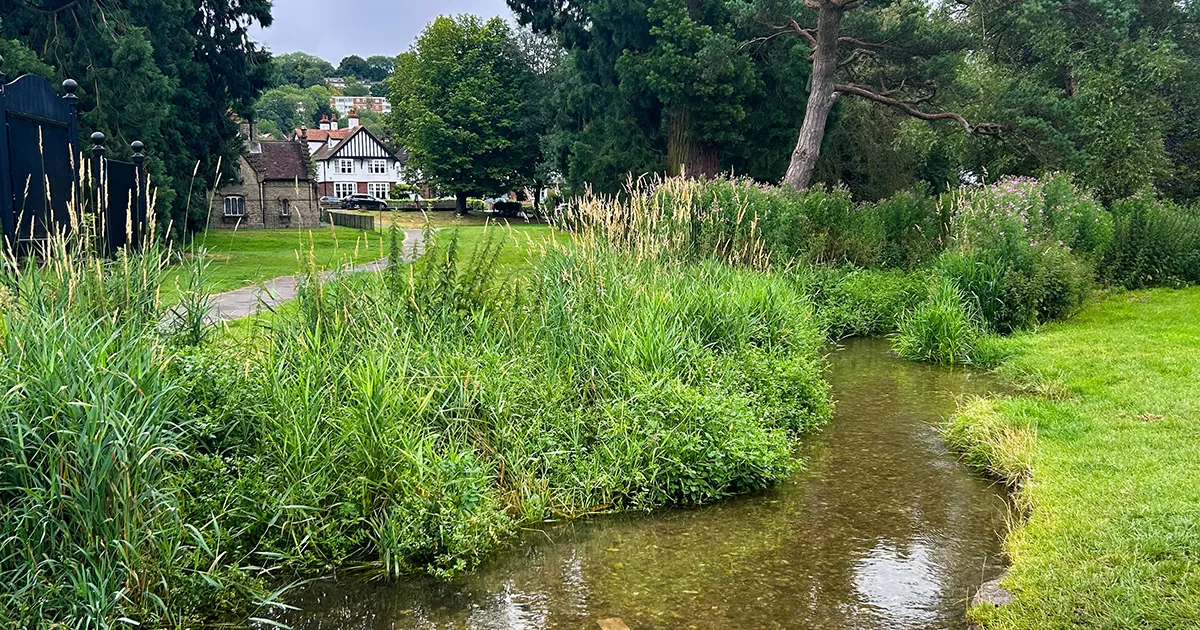 New Heritage Walk and a Spot of Zen 🪬