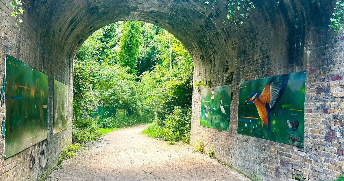Sound Baths and The Snowman In Concert ❄️