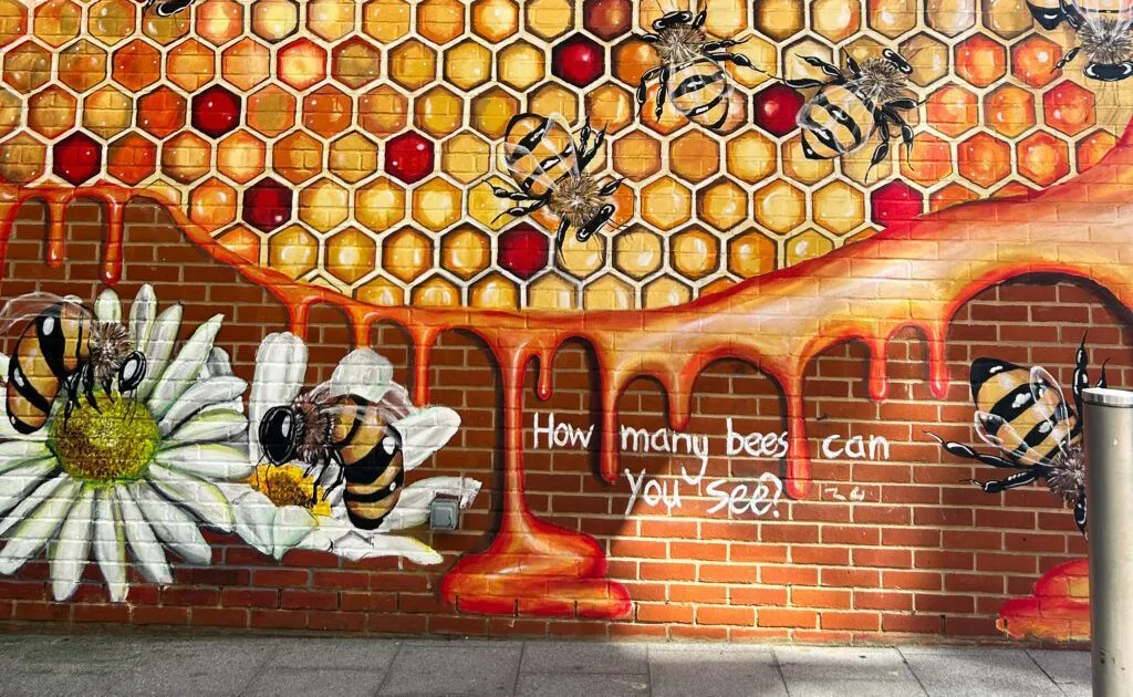 Big Town Centre Festival this Weekend 🎉