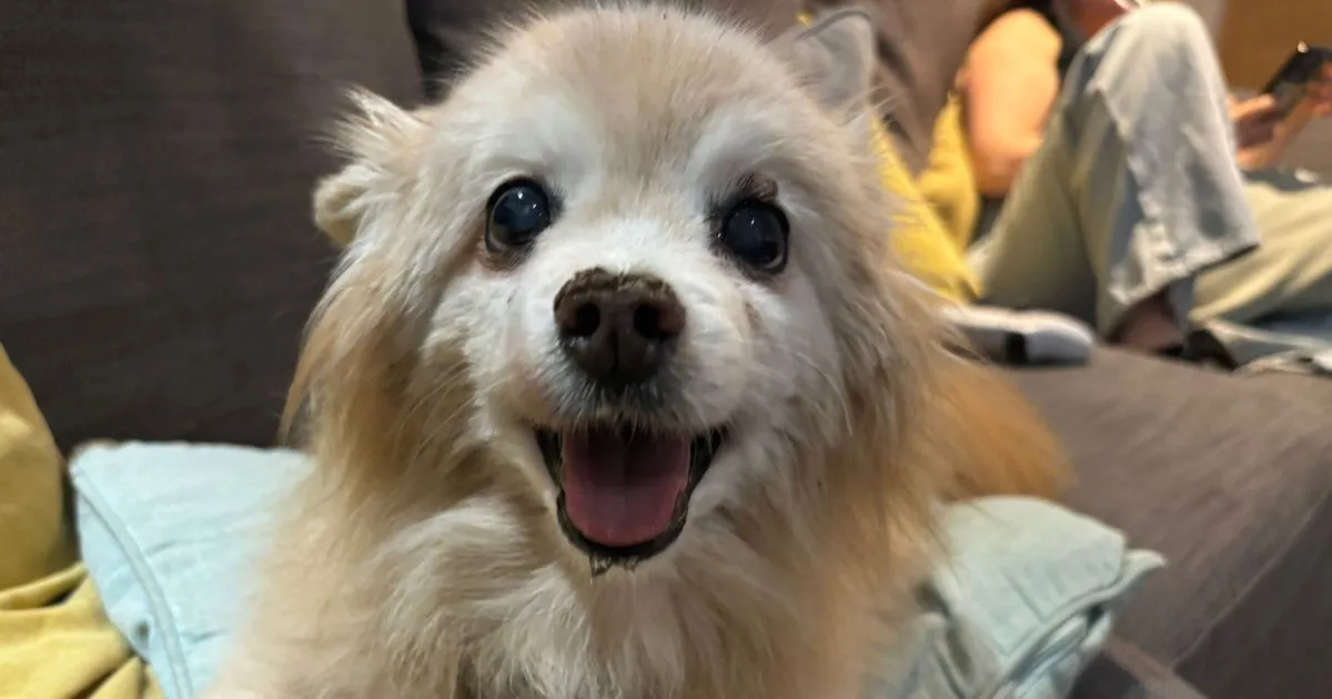 Rum & Reggae on the Rye 🍹