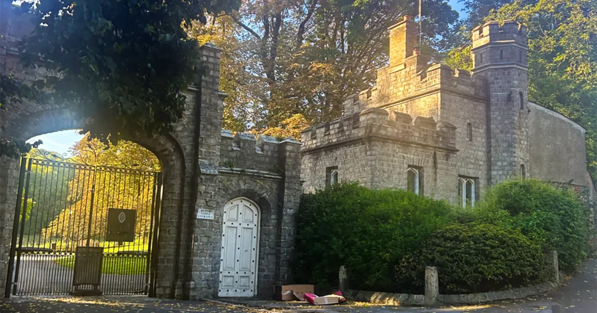 New High Street Market (for real, this time!) 🛍️