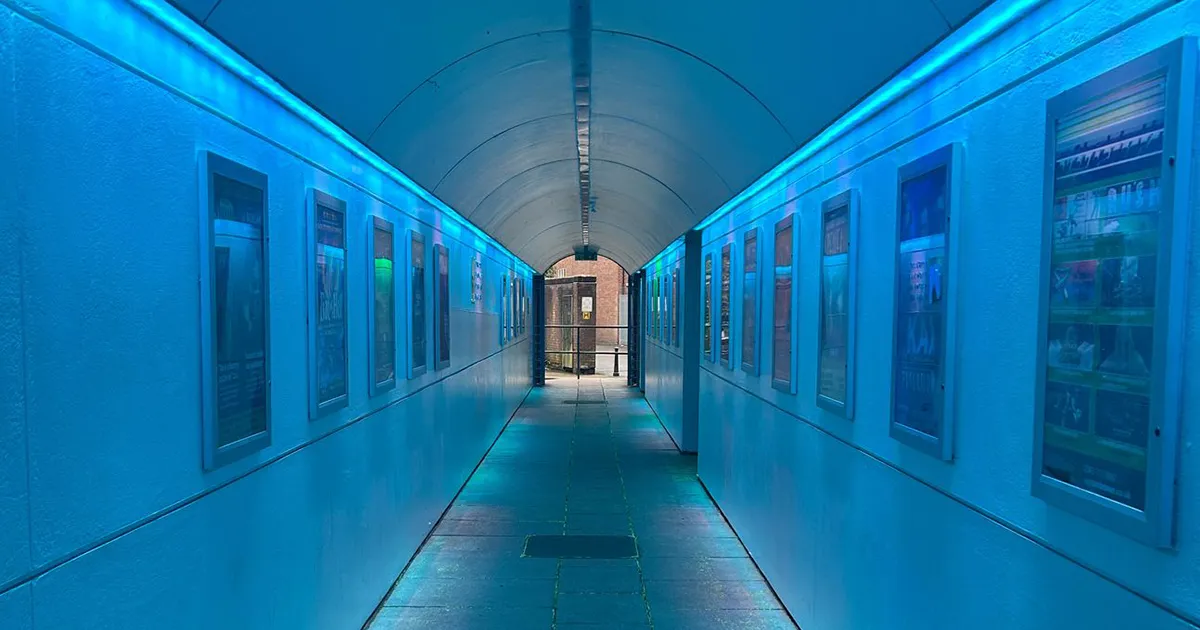 Snowdrop Sunday 🤍🌱