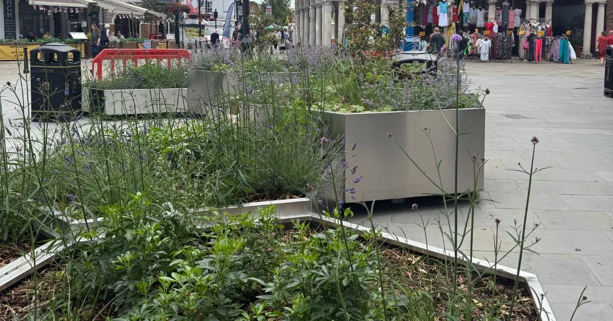 Peppa Pig and a Sunset Sound Bath 🐷