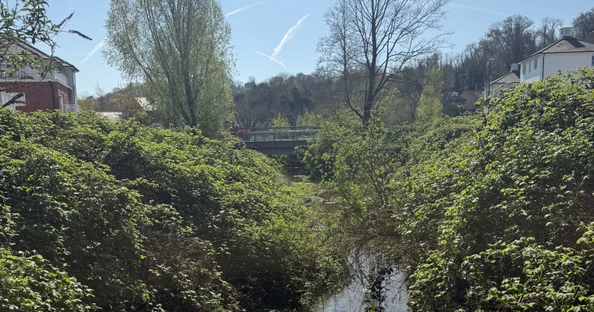 🎈New Soft Play & the Return of Beating the Bounds